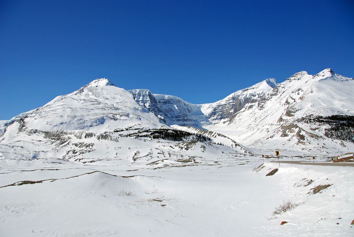 15 Snow Dome, Dome Glacier, Mount Kitchener and Mount K2 From Columbia Icefield